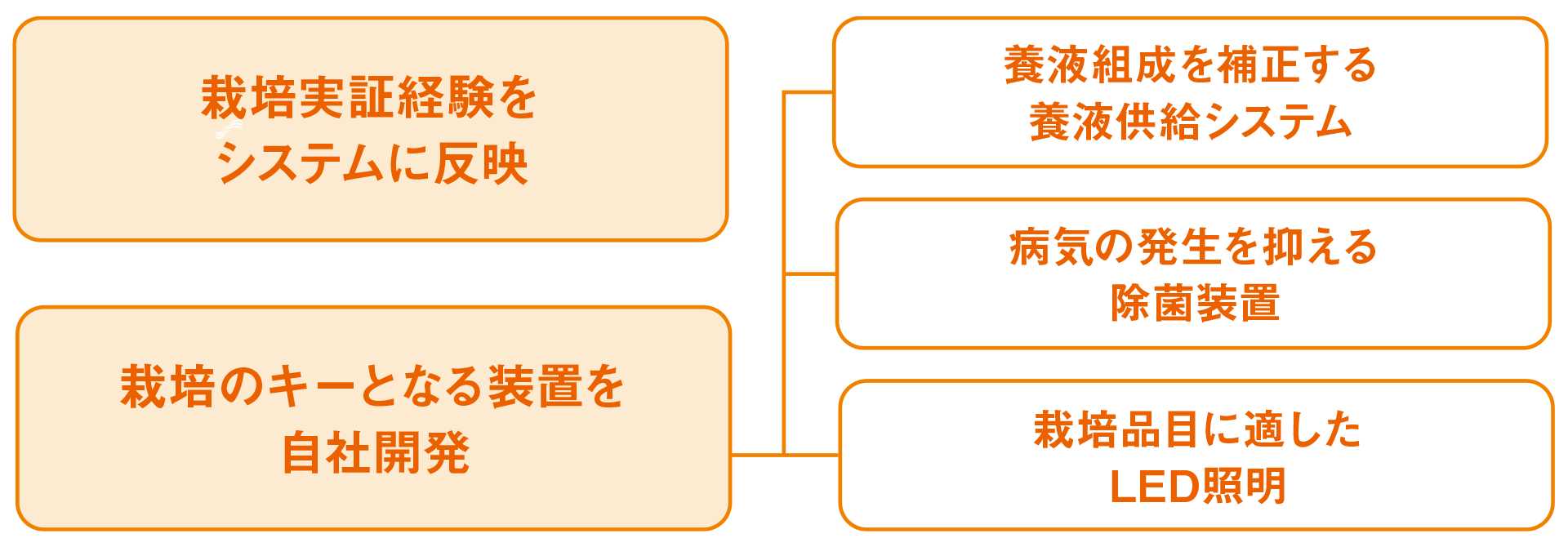 栽培実証経験をシステムに反映、栽培のキーとなる装置を自社開発