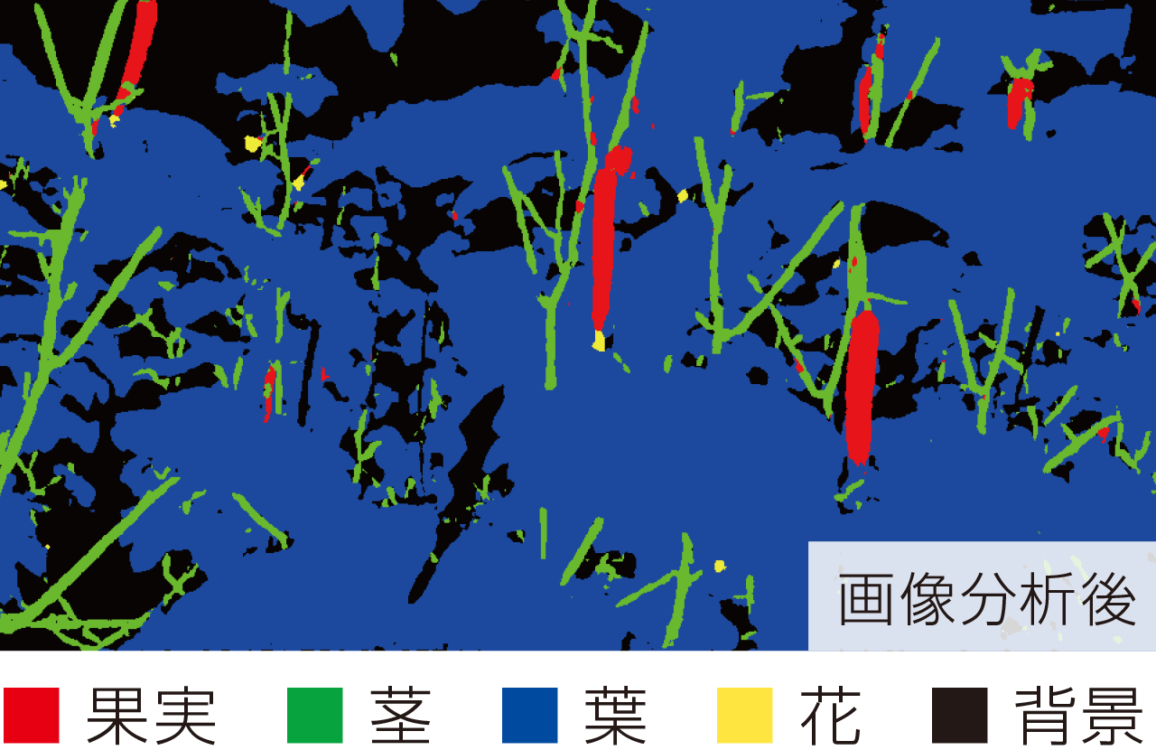 高速・正確に部位を認識します