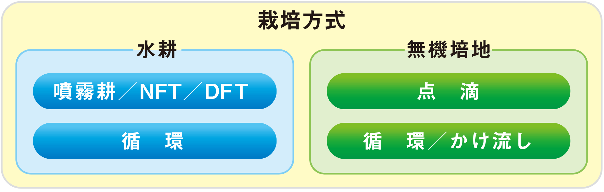 栽培方式