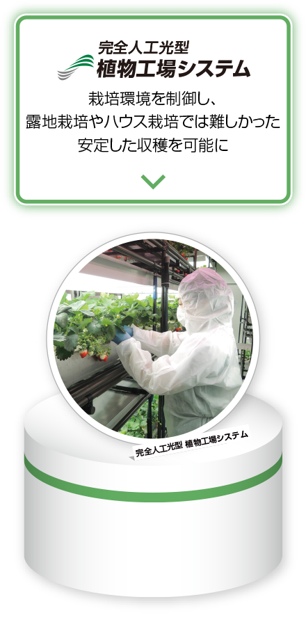 完全人工光型 植物工場システム 栽培環境を制御し、露地栽培やハウス栽培では難しかった安定した収穫を可能に